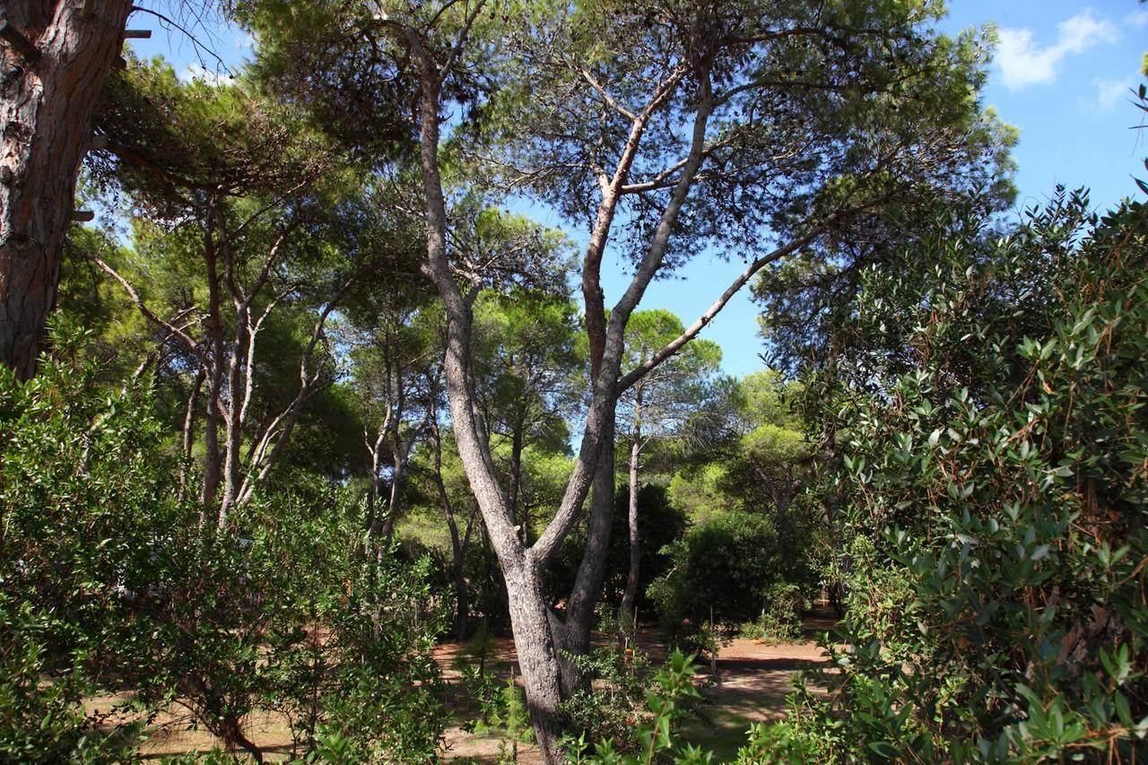 Riva Di Ugento Beach Camping Resort Buitenkant foto