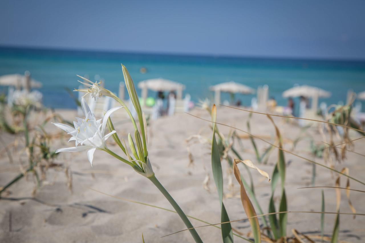 Riva Di Ugento Beach Camping Resort Buitenkant foto
